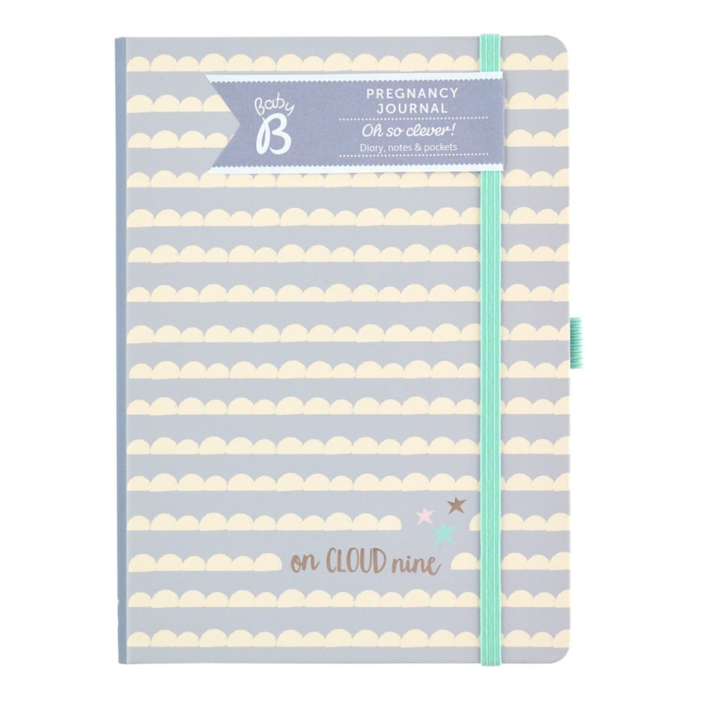 Tehotenský denník Busy B Pregnancy Journal