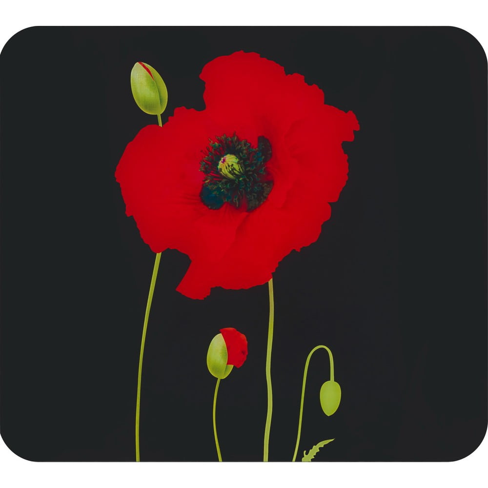 Kryt na stenu pri sporáku z tvrdeného skla 50x56 cm Poppy - Maximex