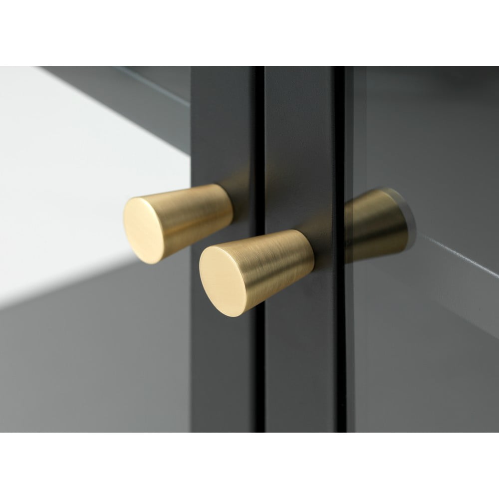 Čierna kovová vitrína 90x190 cm Carmel – Unique Furniture