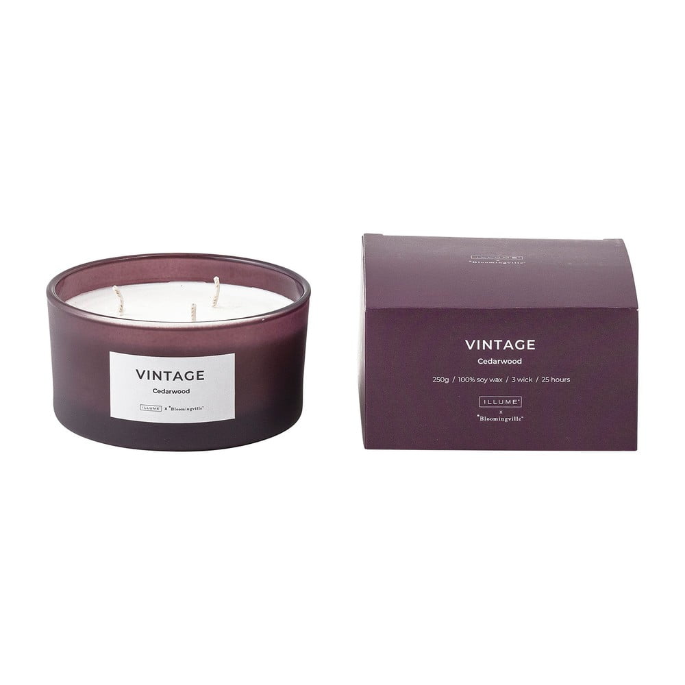 Vonná sviečka doba horenia 25 h Vintage Cedarwood – ILLUME x Bloomingville