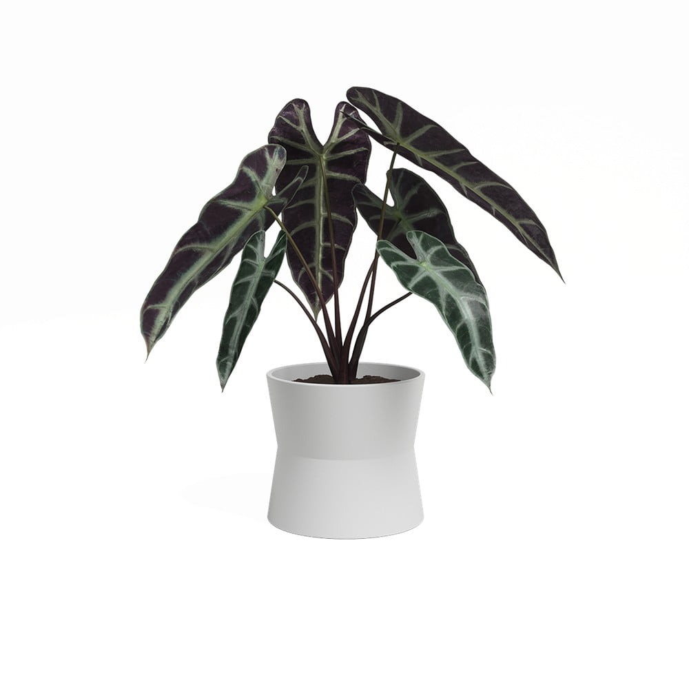 Keramický kvetináč ø 14 cm Diana – Artevasi