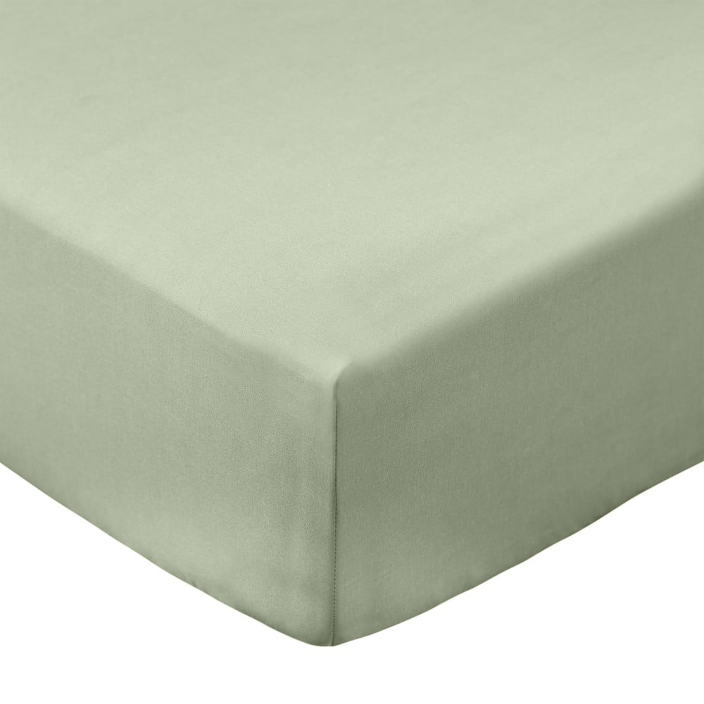 Zelená napínacia plachta z bavlneného perkálu 150x200 cm Cotton Percale – Bianca