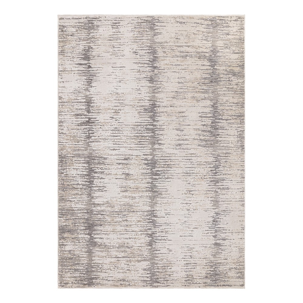 Koberec 200x300 cm Anders Grey – Asiatic Carpets
