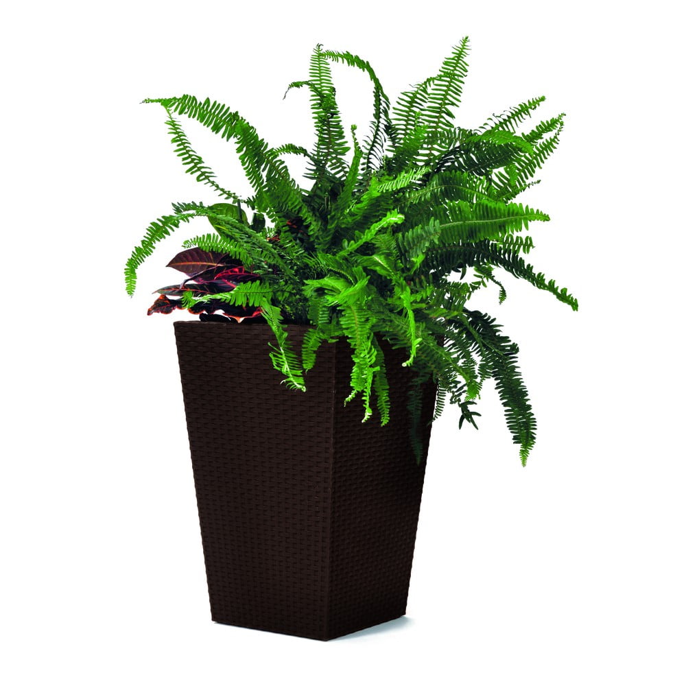 Plastový obal na kvetináč Rattan – Keter