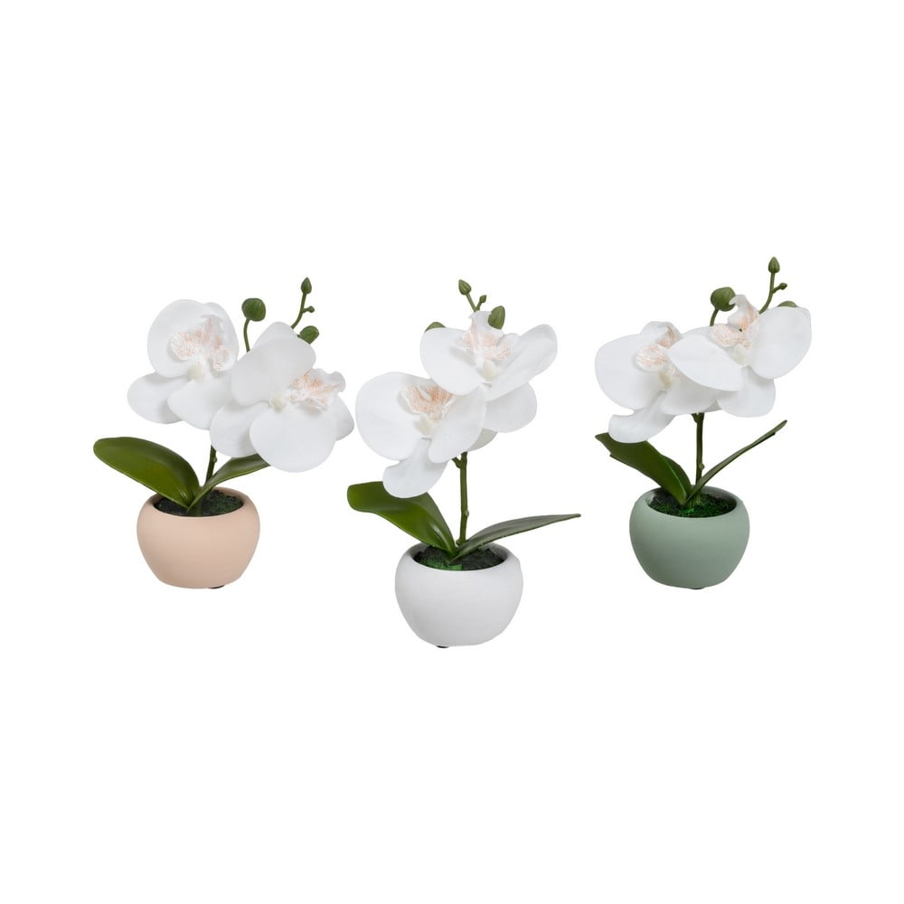 Umelé rastliny v súprave 3 ks (výška 15 cm) Orchid – Casa Selección