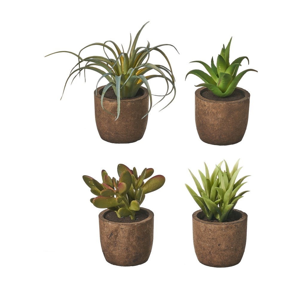 Umelé rastliny v súprave 4 ks (výška  10 cm) Cactus – Casa Selección