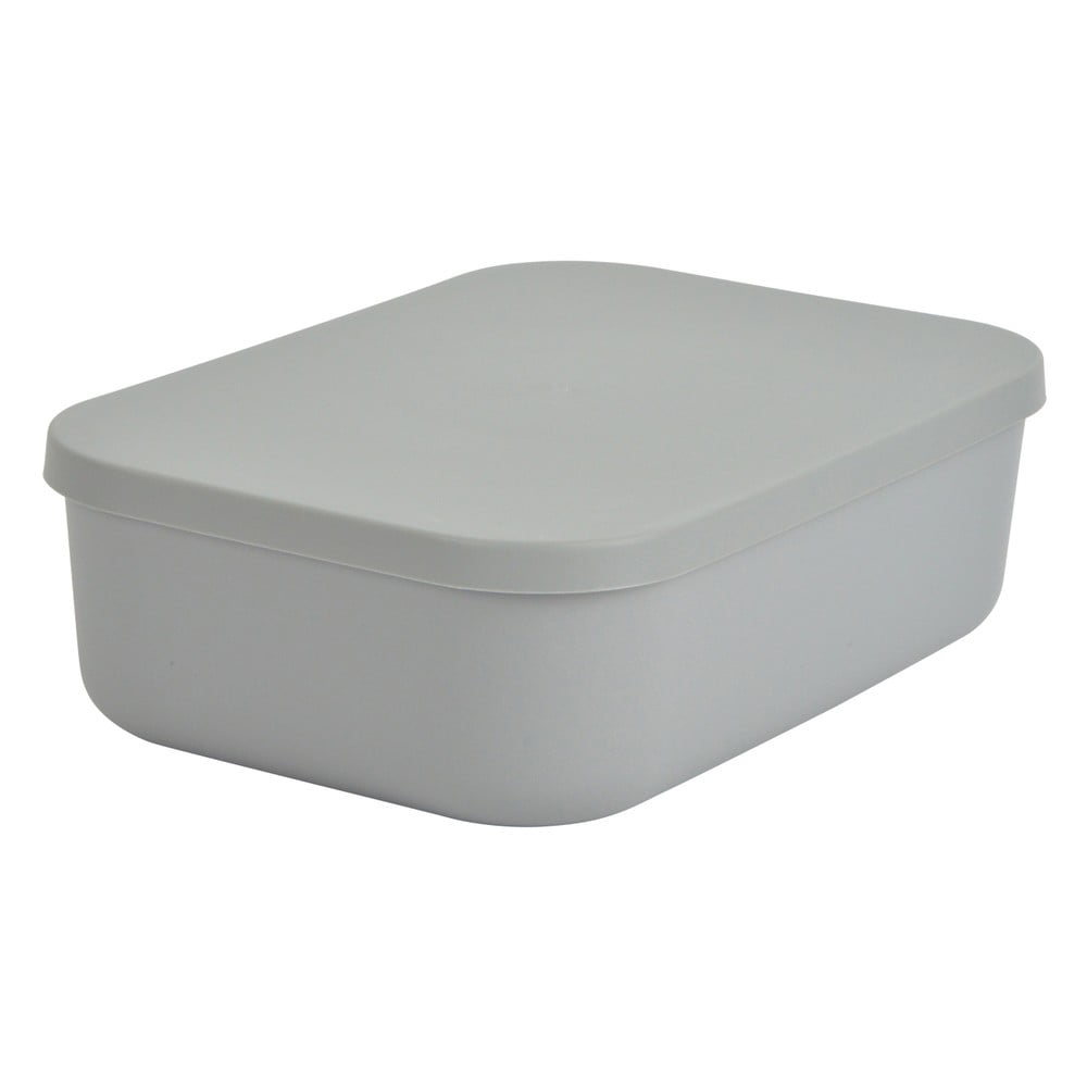 Sivý plastový úložný box s vekom 24x18x8 cm – Homéa