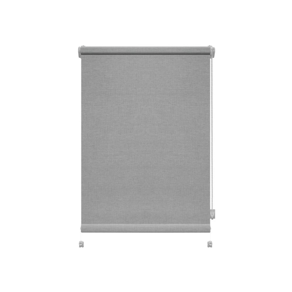 Svetlosivá roleta 80x150 cm Mini Faro – Gardinia