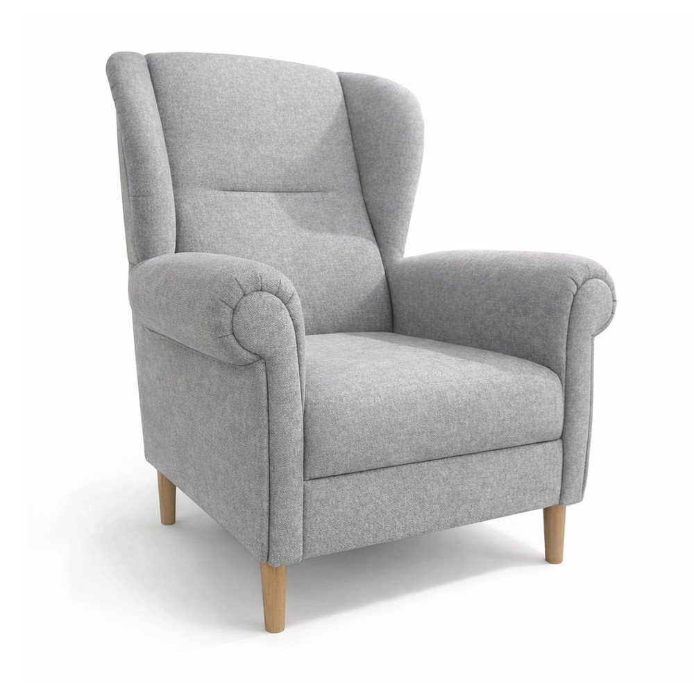 Svetlosivé kreslo ušiak Swan – Ropez