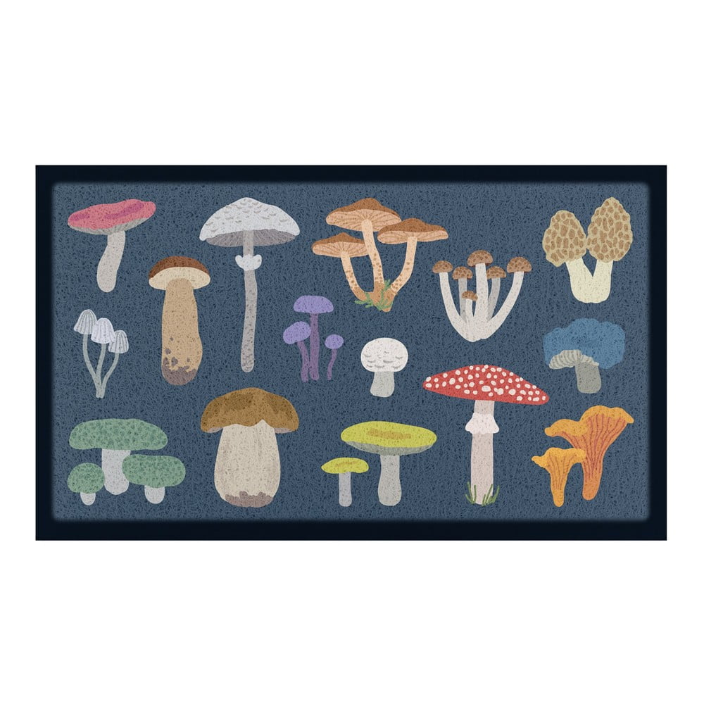 Rohožka 40x70 cm Mixed Wild Mushroom – Artsy Doormats