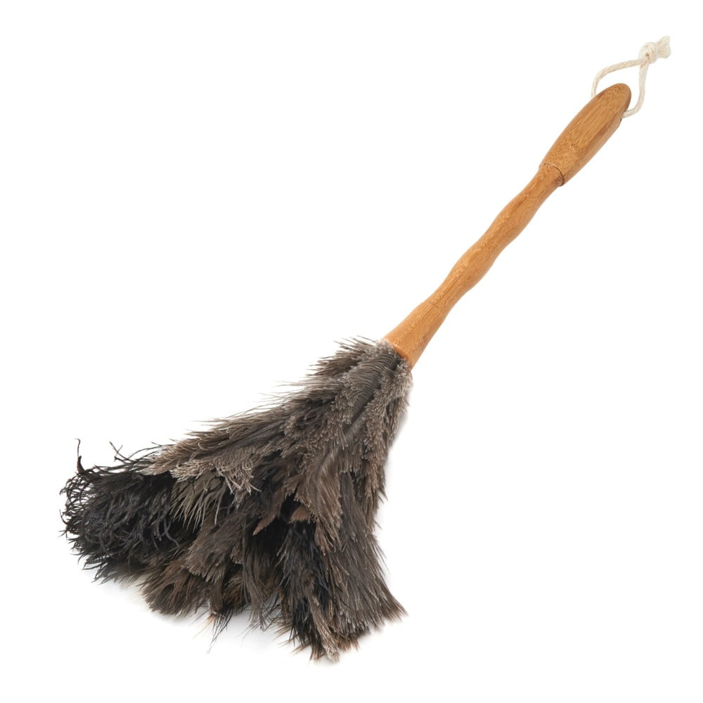 Prachovka z pštrosieho peria – Addis