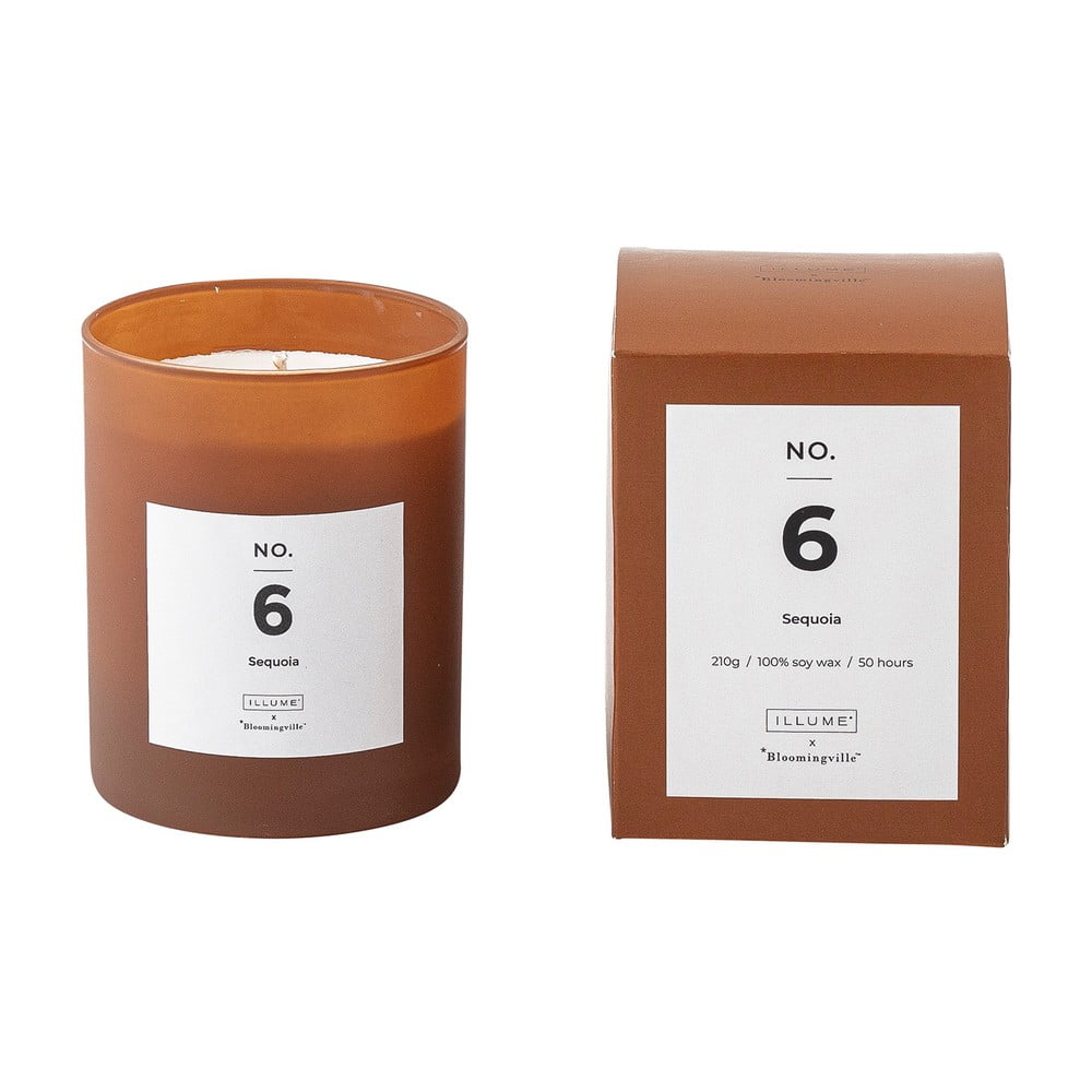 Vonná sviečka doba horenia 50 h No. 6 Sequoia – ILLUME x Bloomingville