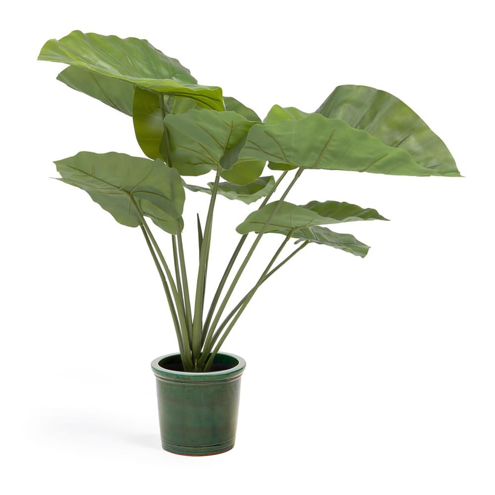 Umelá rastlina (výška 57 cm) Odora – Kave Home